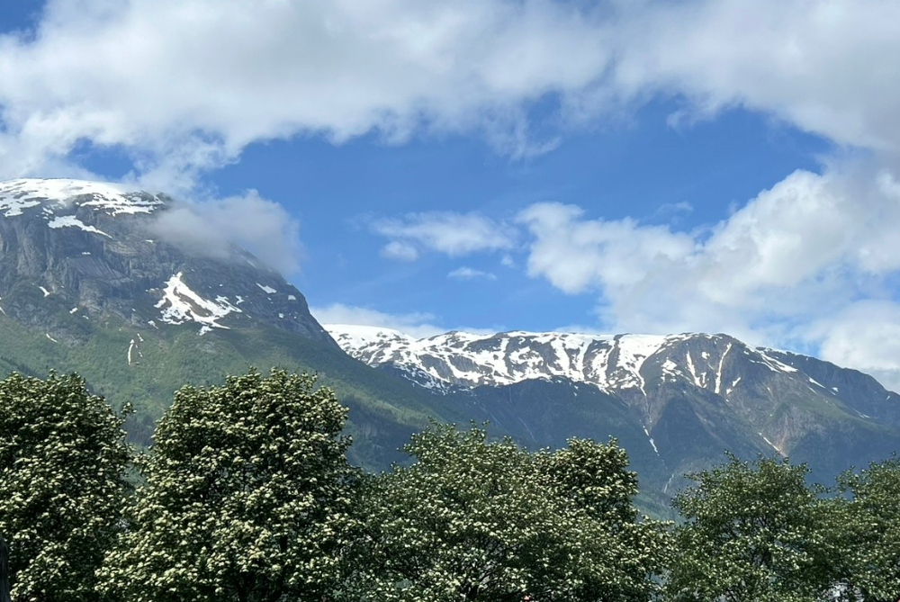 En fjord med stille vann. Foto.